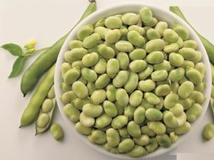 HABAS BABY - JV -  NURIMAR - FINDUS