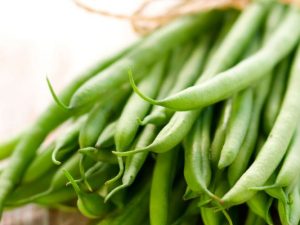 JUDIAS VERDES ENTERAS SUPERFINA - GENERICA