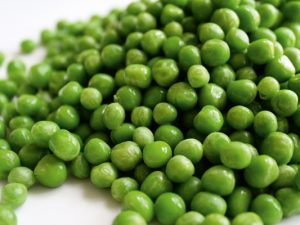 GUISANTE COMUN - NURIMAR