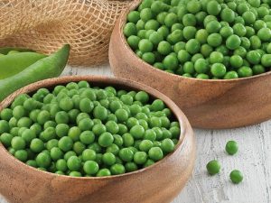 GUISANTE ECOLOGICO - IDIOMAS