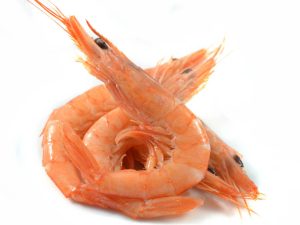 GAMBA GRIEGA DELFIN Nº4