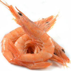 Gambas