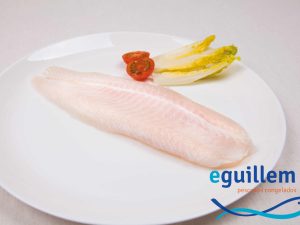 F.PANGA INTER - GUILLEM