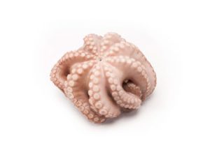 PULPO T8