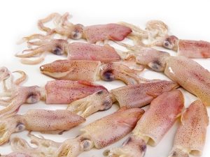 PUNTILLA NACIONAL CASABLANCA