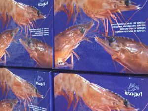 LANGOSTINO SALVAJE BLANCO Nº7