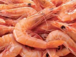 GAMBAS Y GAMBONES