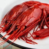 carabineros congelados