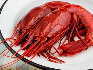CARABINEROS