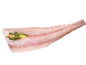 FILETE DE CORVINA